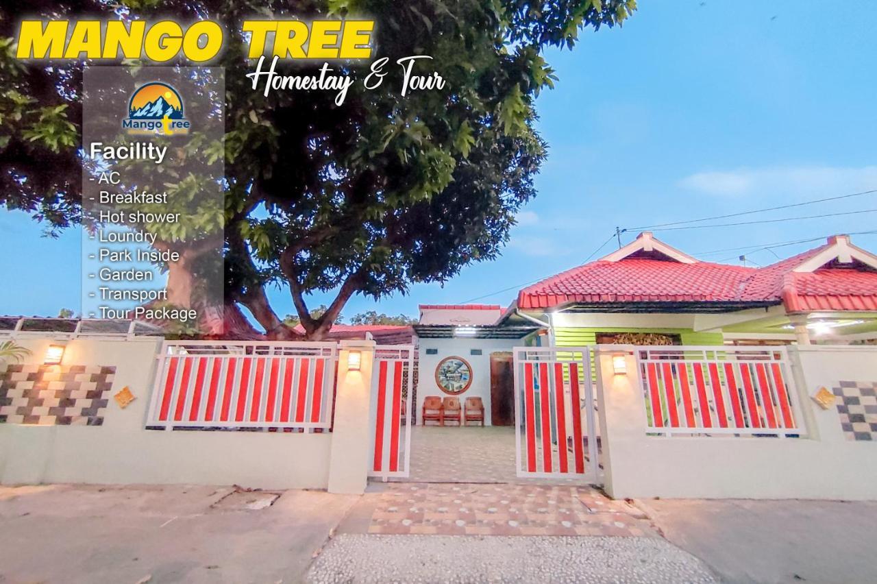 Mango Tree Homestay & Ijen Tour Banyuwangi  Exterior foto