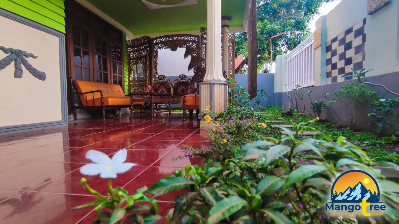 Mango Tree Homestay & Ijen Tour Banyuwangi  Exterior foto