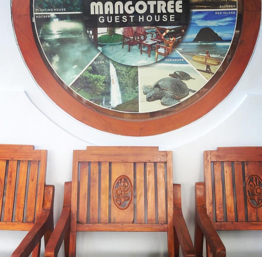 Mango Tree Homestay & Ijen Tour Banyuwangi  Exterior foto